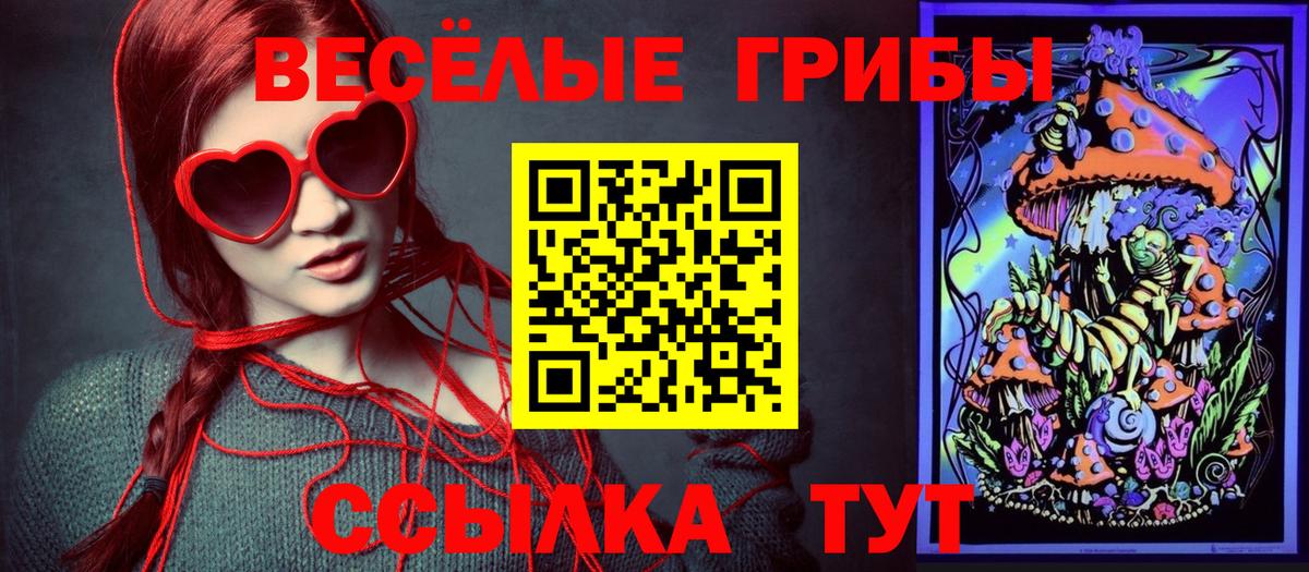 Псилоцибиновые грибы Cubensis  Вход с VPN  Псилоцибиновые грибы Cubensis  Туймазы 