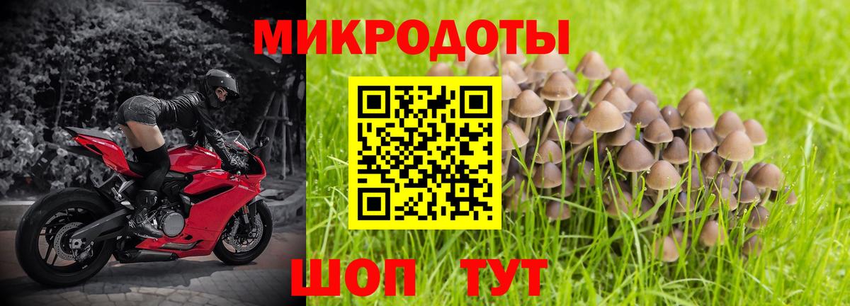 Галлюциногенные грибы Psilocybine cubensis Туймазы